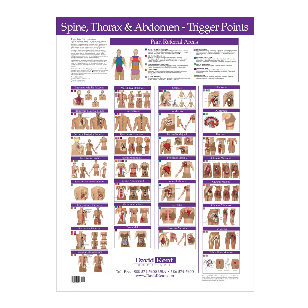 Trigger Point Chart Set Torso And Extremities