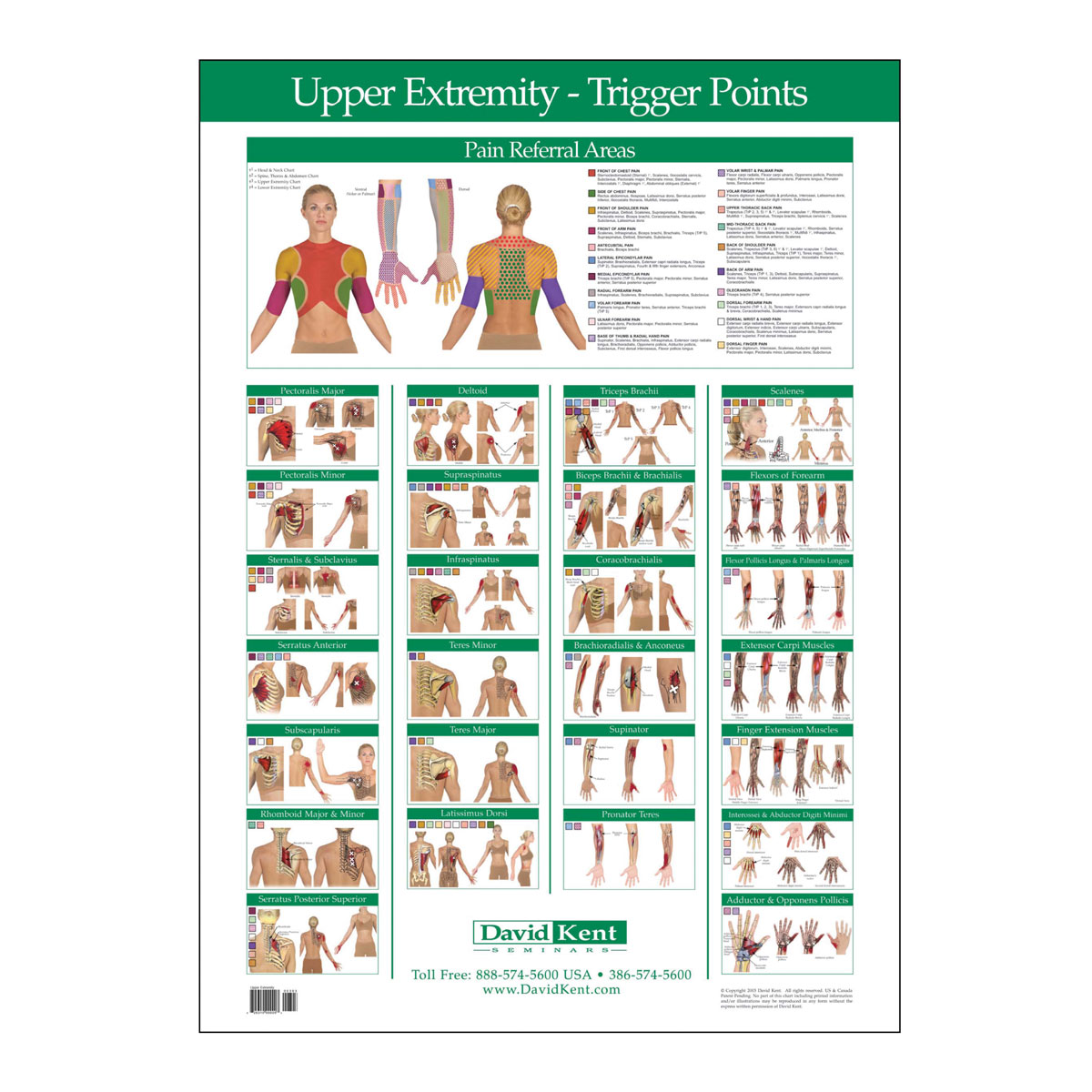 Trigger Point Charts Free