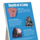 Death of a Lung Easel Display, 3004660 [W43111], Educación sobre el tabaco