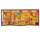 Your New Body: Boys Folding Display, 3004700 [W43161B], Sex Education