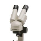 Stereo Field Microscope, W49996, Binocular Stereo Microscopes