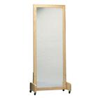Adult Mobile Posture Mirror, 1018452 [W50766], Privacy Screens and Mirrors