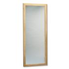 Wall Mount Adult Mirror, W50770, Privacy Screens and Mirrors