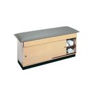 Hausmann Ind. Cabinet Treatment Table with Storage, W54707, Taping and Sports Treatment Tables