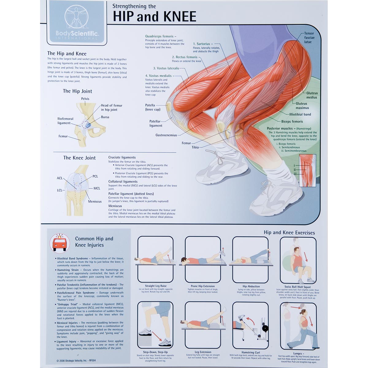 Hip Location Chart